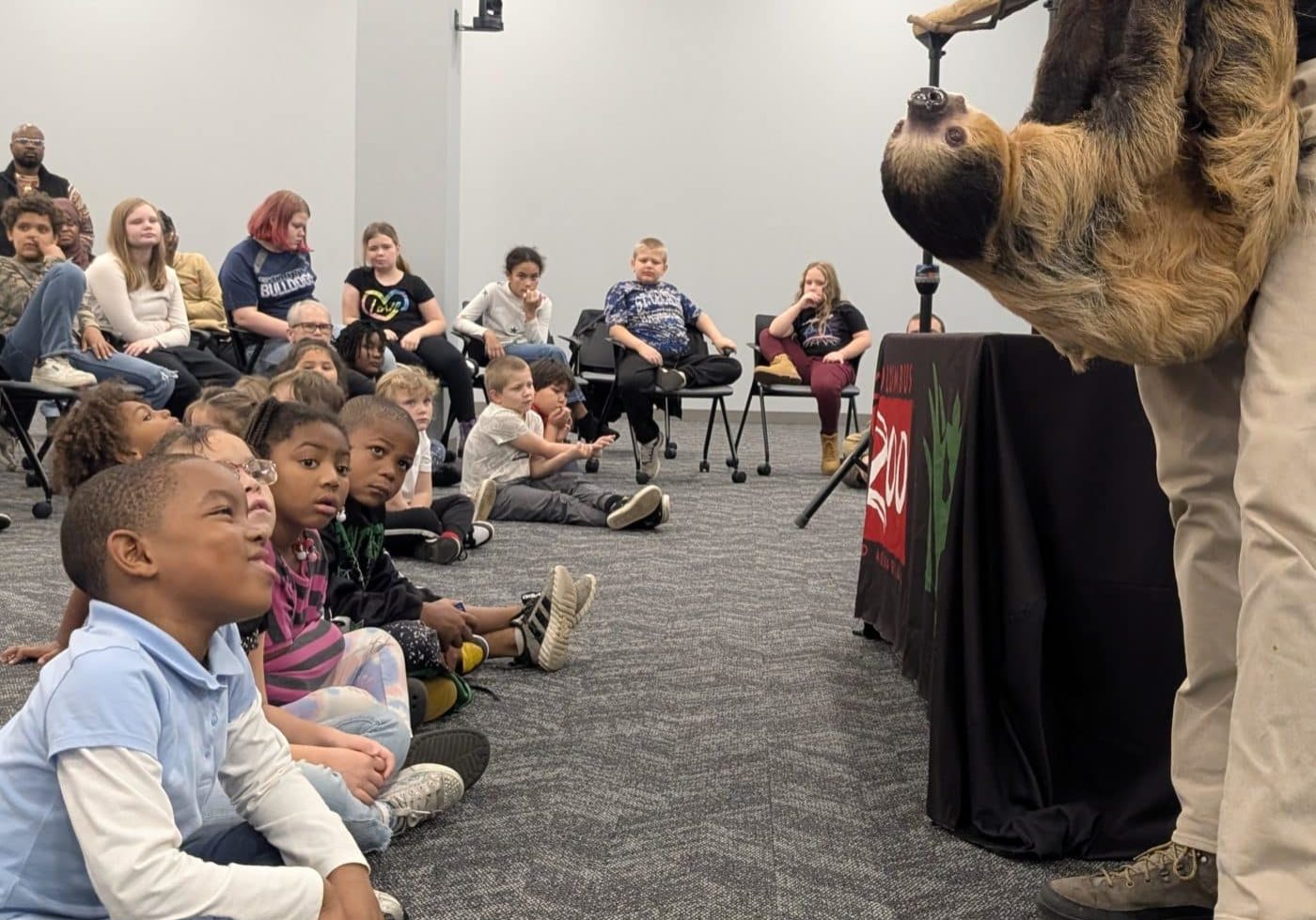 PXL 20251119 221025959